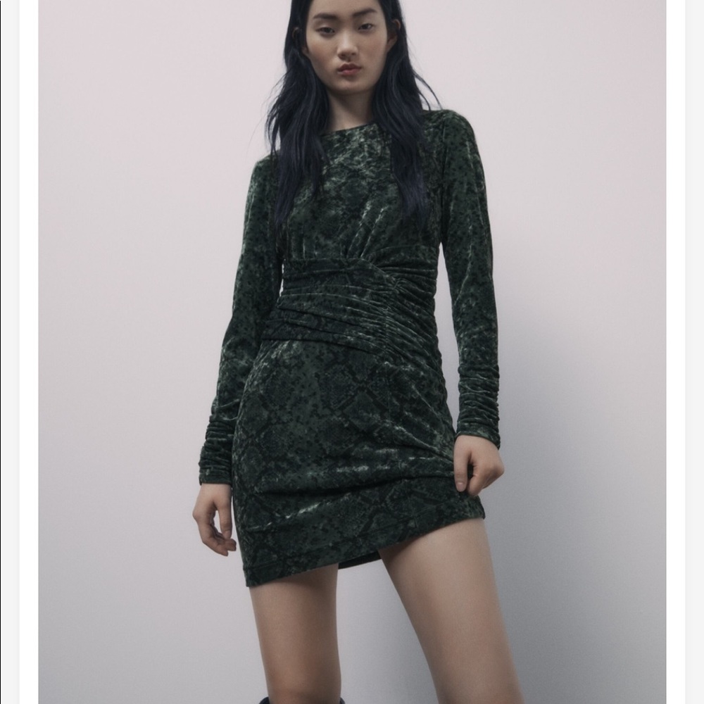 Zara dress